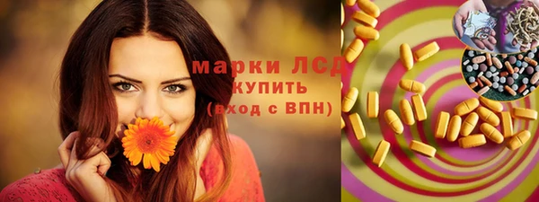 индика Инсар