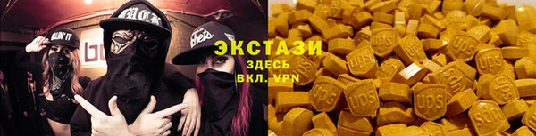 индика Инсар