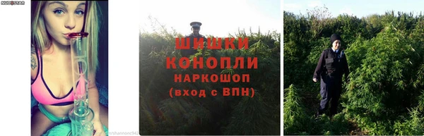 тгк Иннополис
