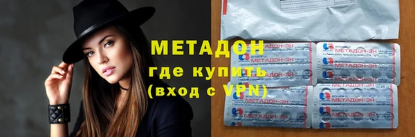 индика Инсар