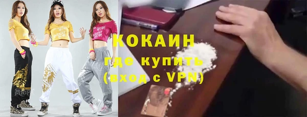индика Инсар