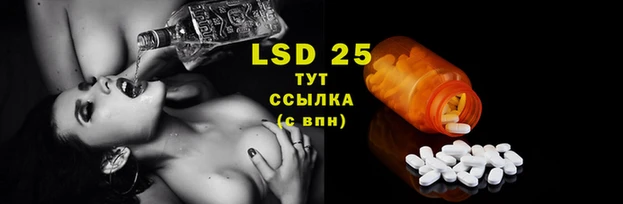 индика Инсар