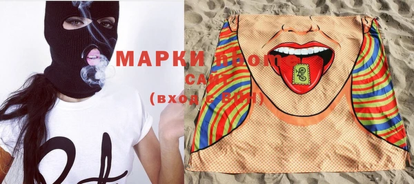 индика Инсар