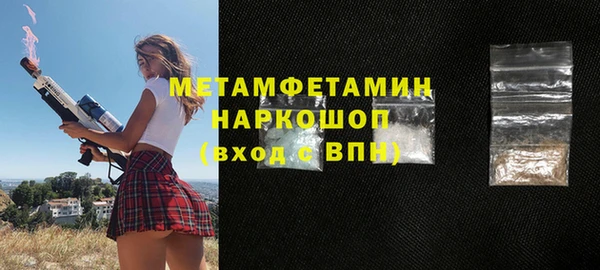 индика Инсар