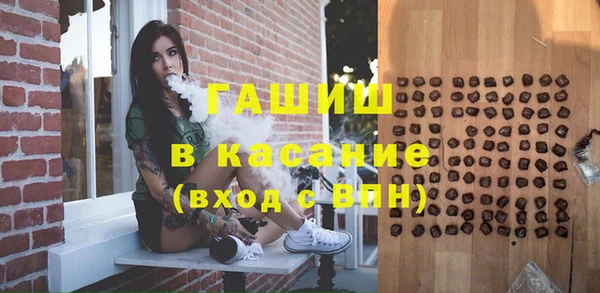 индика Инсар