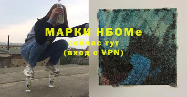 индика Инсар
