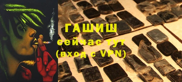 индика Инсар