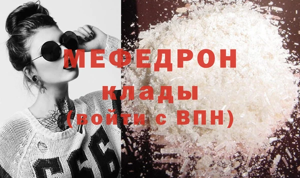 индика Инсар