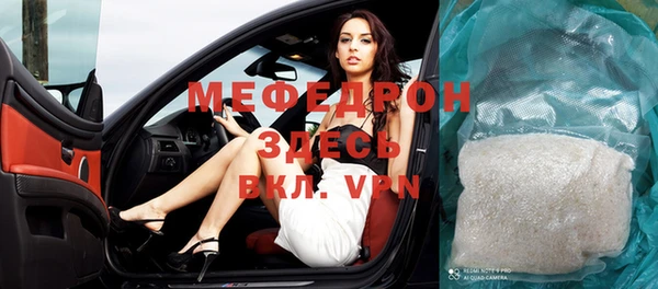 индика Инсар