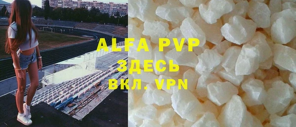 индика Инсар