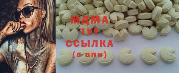индика Инсар
