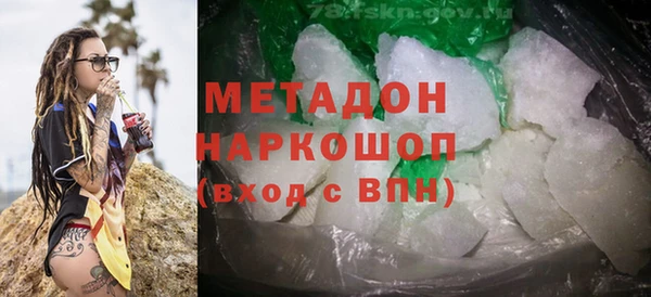 индика Инсар