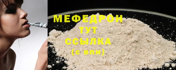 индика Инсар