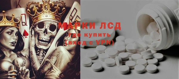 индика Инсар